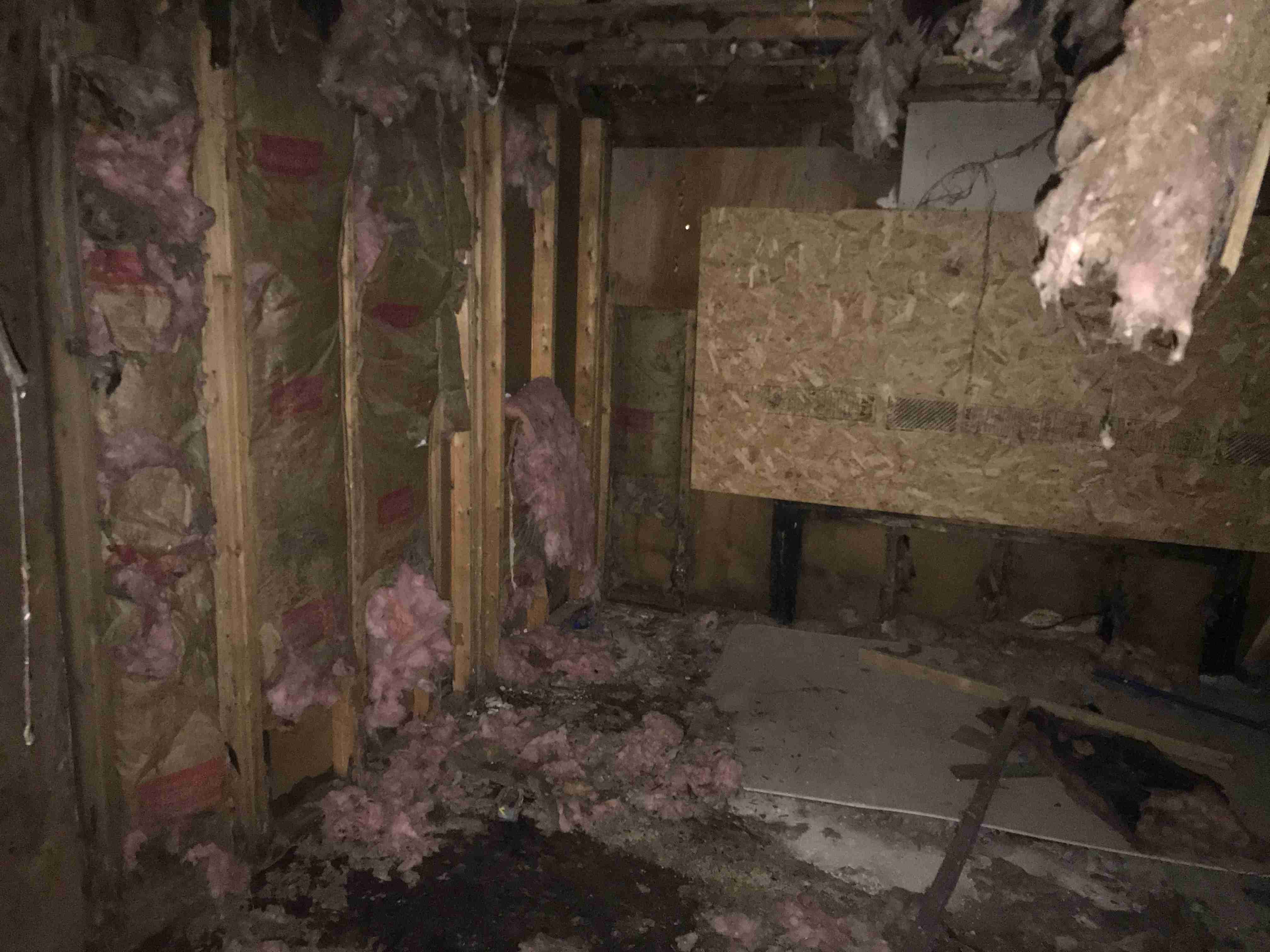 Photo Aug 21, 1 28 58 PM.jpg